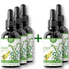 Mullein Extract