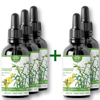 Mullein Extract