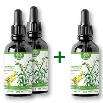 Mullein Extract