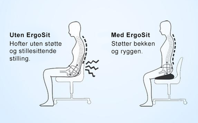 ErgoSit: Ortopedisk Memory Foam